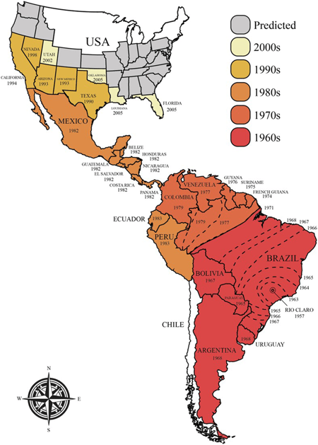 Proceso de Africanización