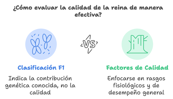 Cómo evaluar la calidad de una reina en la apicultura